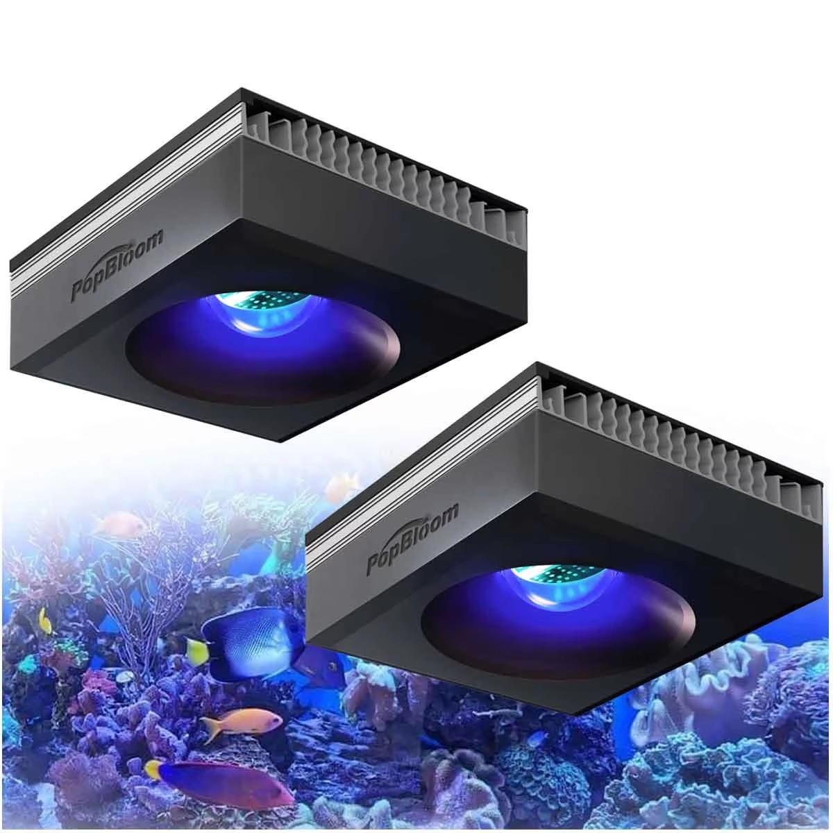 Aquarium Marine Fishes - 팝블룸 RL90 WiFi 리프 수족관 조명