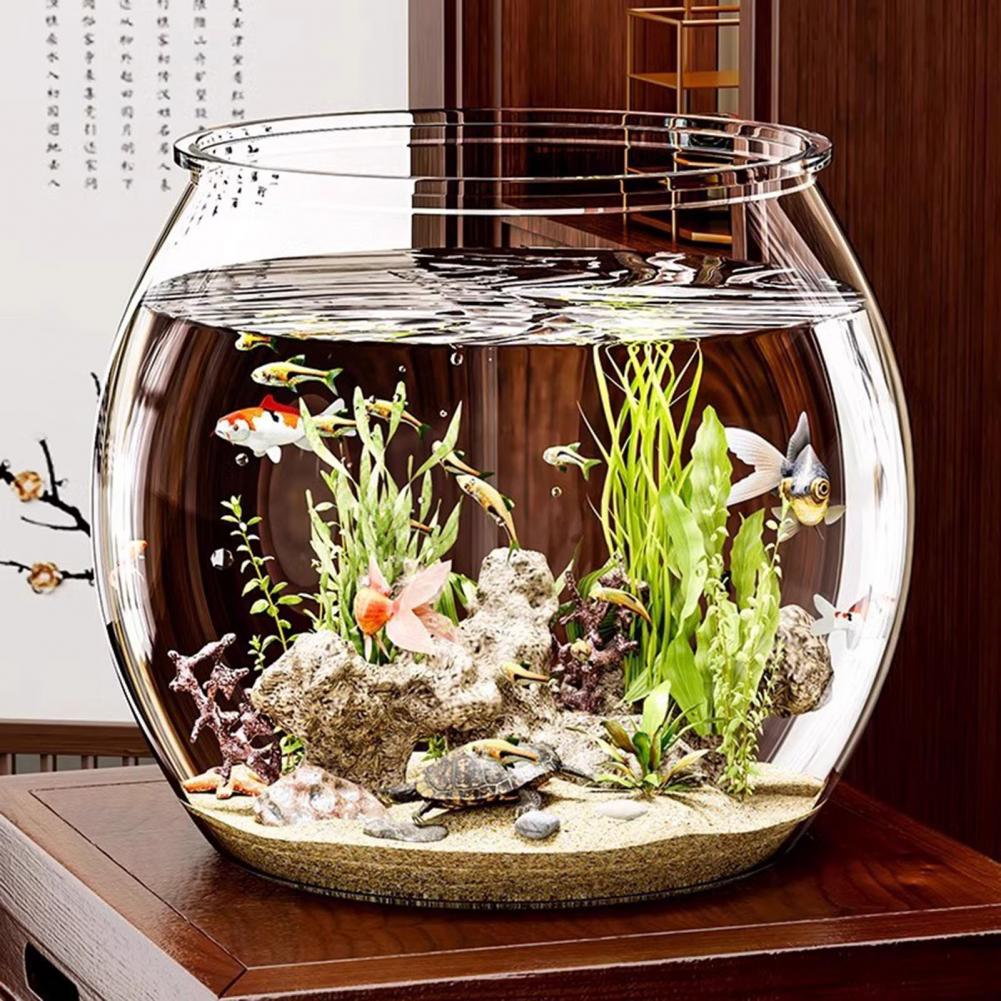Marine Aquarium Live - 투명 플라스틱 원형 어항 수족관 거실