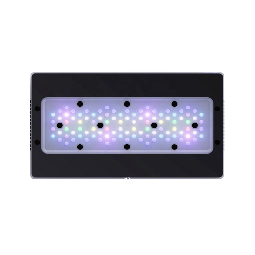 Aquarium Marine Blue - A8SE II Max 및 Blue 240W