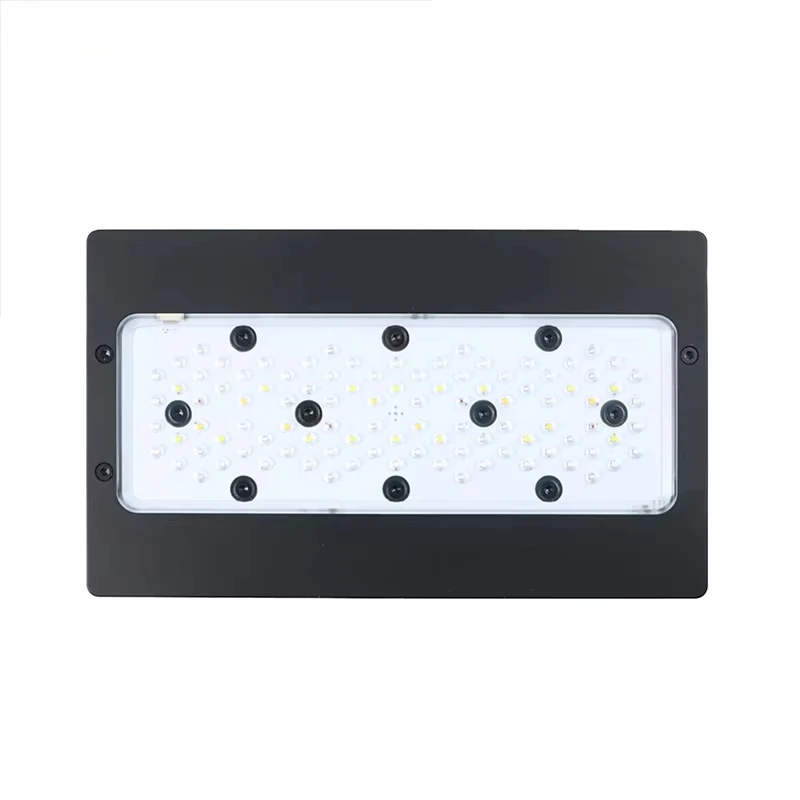 Aquarium Marine Blue - A8Pro Max/블루 240W CREE LED 리프