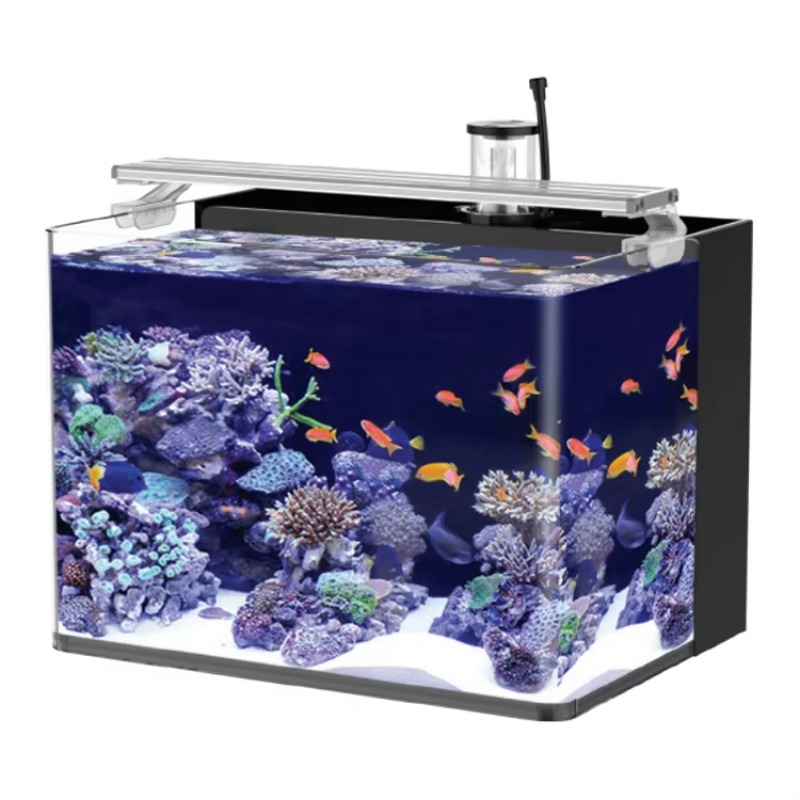 Marine Aquarium Live - 테이블형 곡선형 해수어 수족관, 거실, 침실,