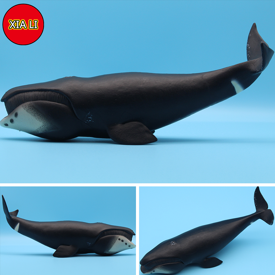 해양 생물 시뮬레이션 킬러 고래 보우헤드 흰고래 액션  - Aquarium Marine Blue 리뷰 및 가격
