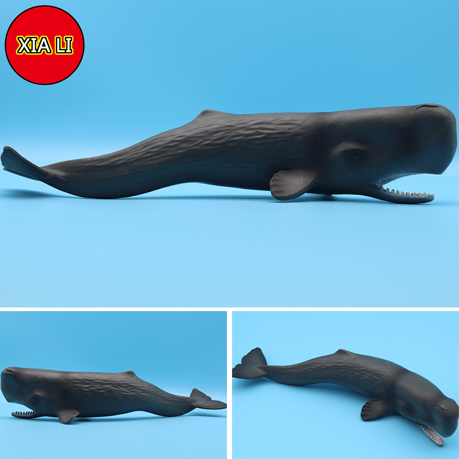 해양 생물 시뮬레이션 킬러 고래 보우헤드 흰고래 액션  - Aquarium Marine Blue 리뷰 및 가격