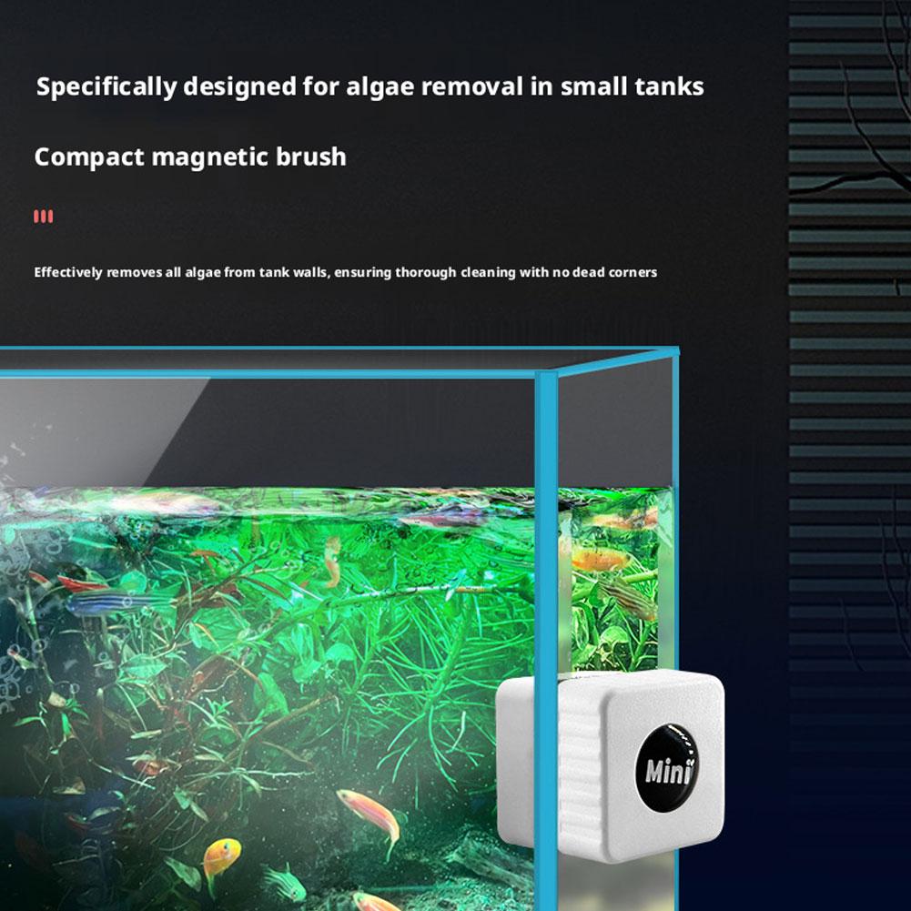 자석식 어항 유리 청소기 미니 사각형 조류 제거기 플라 - Marine Aquarium Glass Scraper 리뷰 및 가격