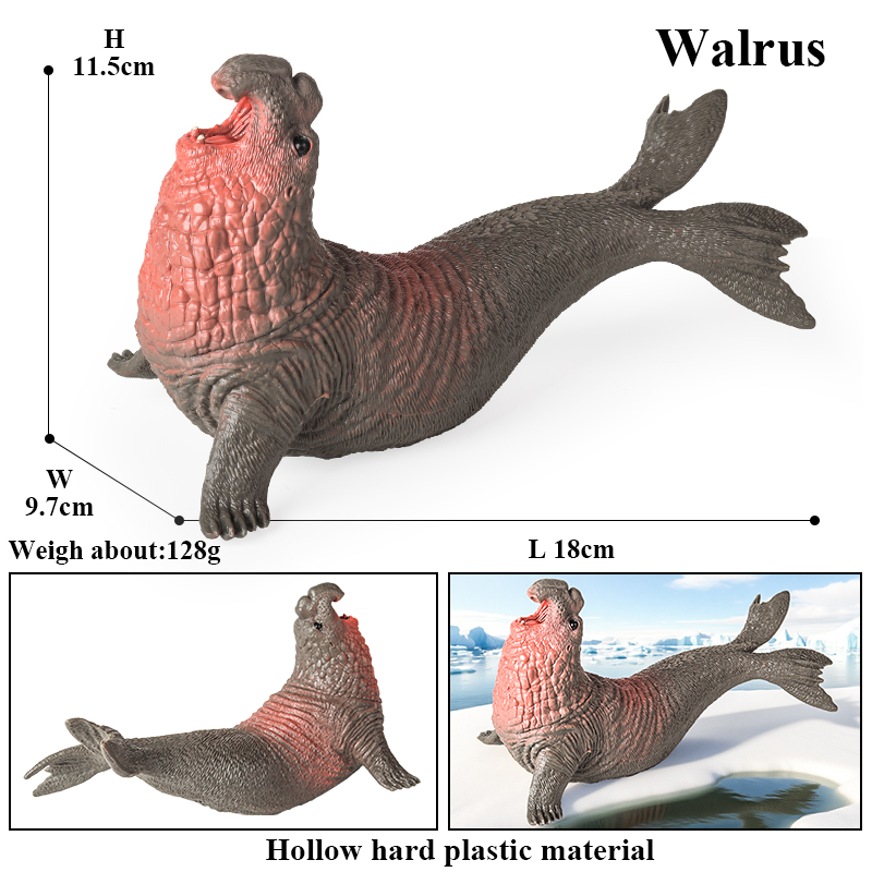 Oenux 새로운 바다 생물 물개 바다사자 오르카 흰고 - Aquarium Marine Blue 리뷰 및 가격