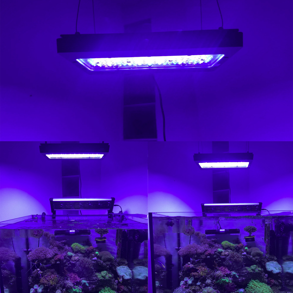 A8SE 프로 II 맥스 블루 240W 해양 리프 수족 - Aquarium Marine Blue 리뷰 및 가격