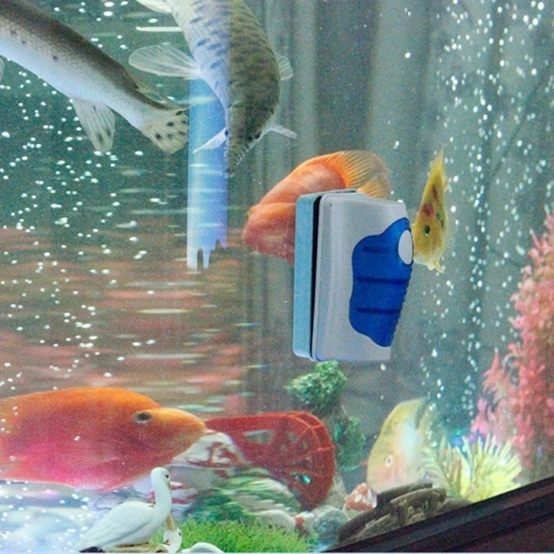 물고기 탱크 유리 스크레이퍼 클리너 플로팅 수족관 클리 - Marine Aquarium Glass Scraper 리뷰 및 가격