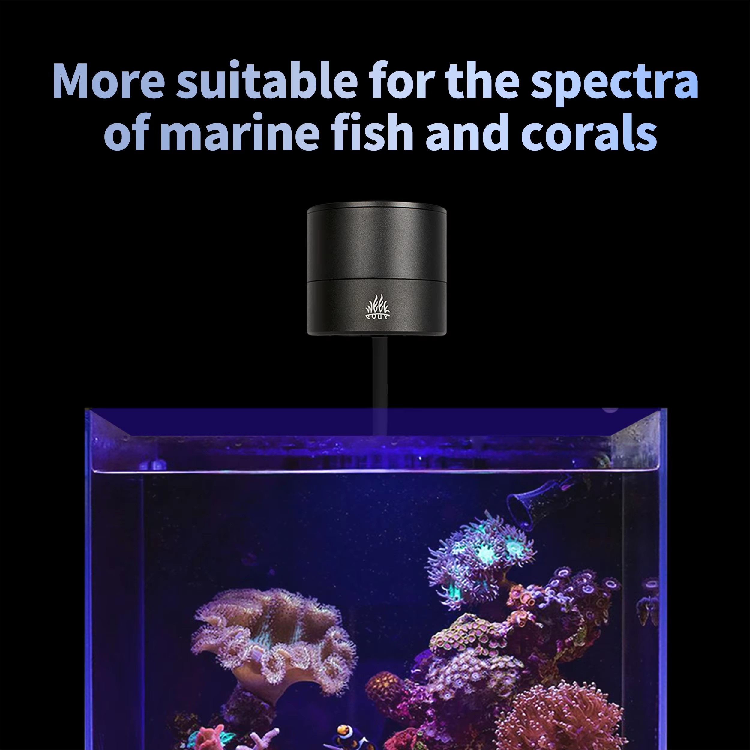 위크 아쿠아 수족관 조명 제조업체 블루 리프 라이트 L - Aquarium Marine Blue 리뷰 및 가격