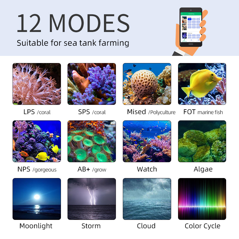 ZXY 핫 세일 WEEKAQUA Z250 Z400sea - Aquarium Marine Blue 리뷰 및 가격