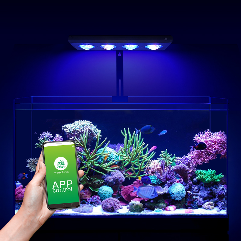 ZXY 핫 세일 WEEKAQUA Z250 Z400sea - Aquarium Marine Blue 리뷰 및 가격