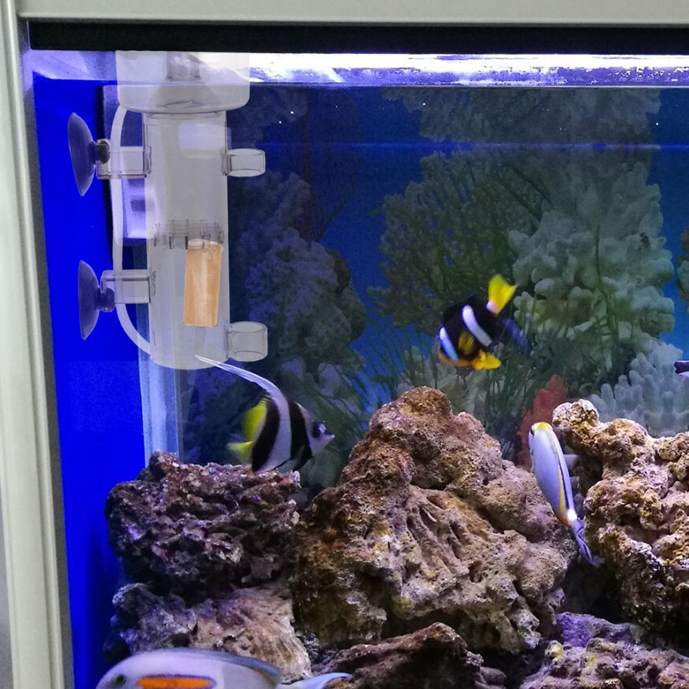 단백질 스키머 내장형 미니 수족관 분리기 효율적인 해수 - Marine Aquarium Protein Skimmer 리뷰 및 가격