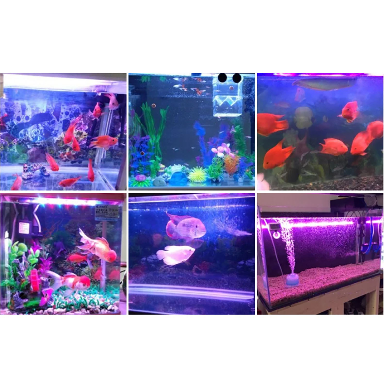 50W 60W 70W 100W RGB 26-28V 고출 - Aquarium Marine Blue 리뷰 및 가격