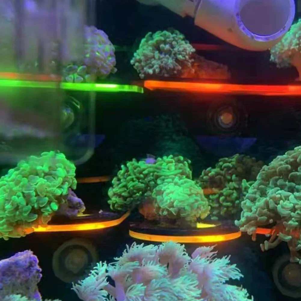 물고기 탱크 아크릴 형광 산호 브래킷 홀더 SPS 브래 - Aquarium Marine Fishes 리뷰 및 가격