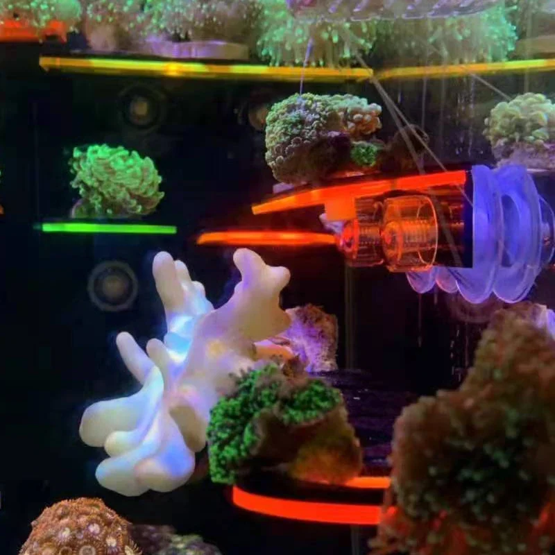 물고기 탱크 아크릴 형광 산호 브래킷 홀더 SPS 브래 - Aquarium Marine Fishes 리뷰 및 가격