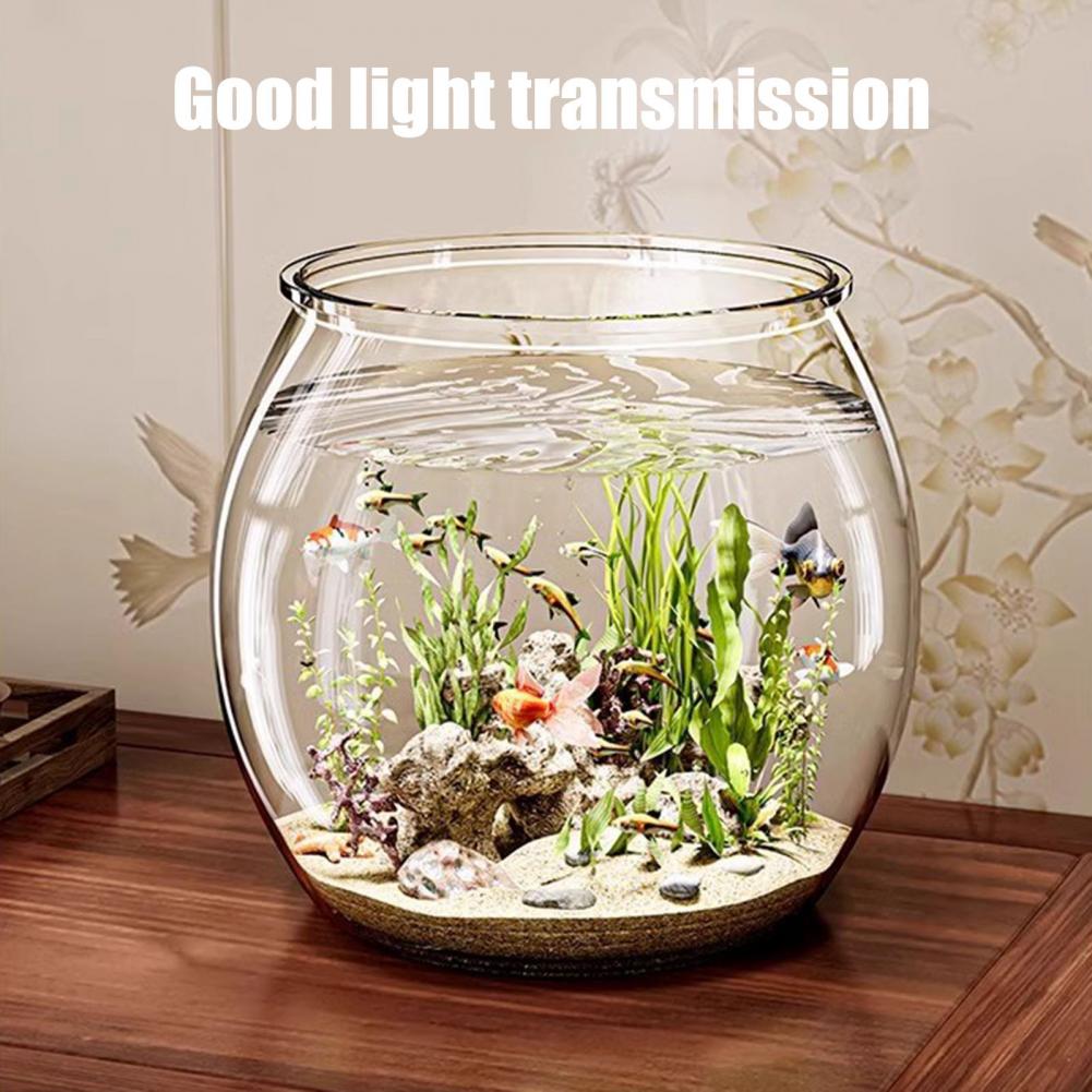 투명 플라스틱 원형 어항 수족관 거실 탁상용 꽃병 셀프 - Marine Aquarium Live 리뷰 및 가격