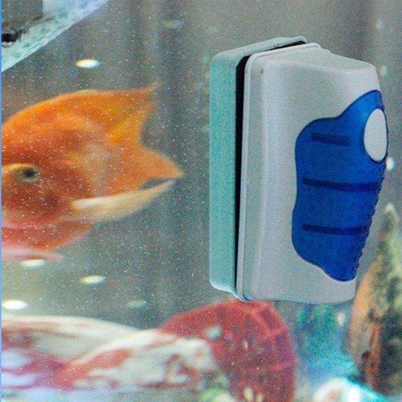 물고기 탱크 유리 스크레이퍼 클리너 플로팅 수족관 클리 - Marine Aquarium Glass Scraper 리뷰 및 가격