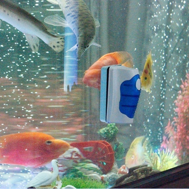 물고기 탱크 유리 스크레이퍼 클리너 플로팅 수족관 클리 - Marine Aquarium Glass Scraper 리뷰 및 가격