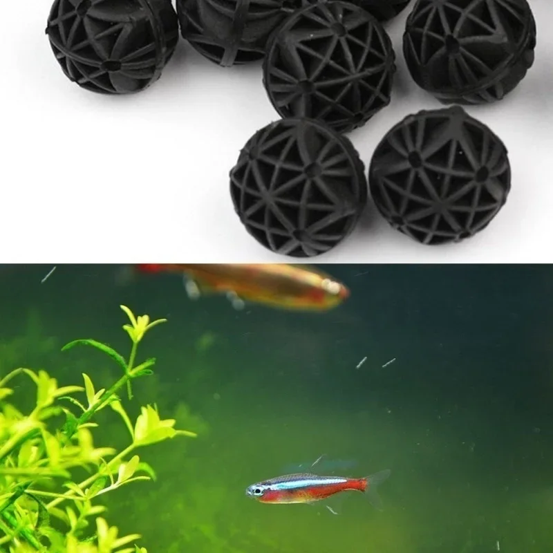 20개입 16mm 수족관 필터 바이오 볼 휴대용 습식  - Aquarium Marine Fishes 리뷰 및 가격