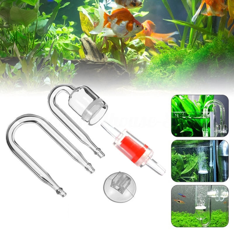 수족관 유리 탱크용 DIY CO2 디퓨저, 버블 반응기 - Marine Aquarium Live 리뷰 및 가격