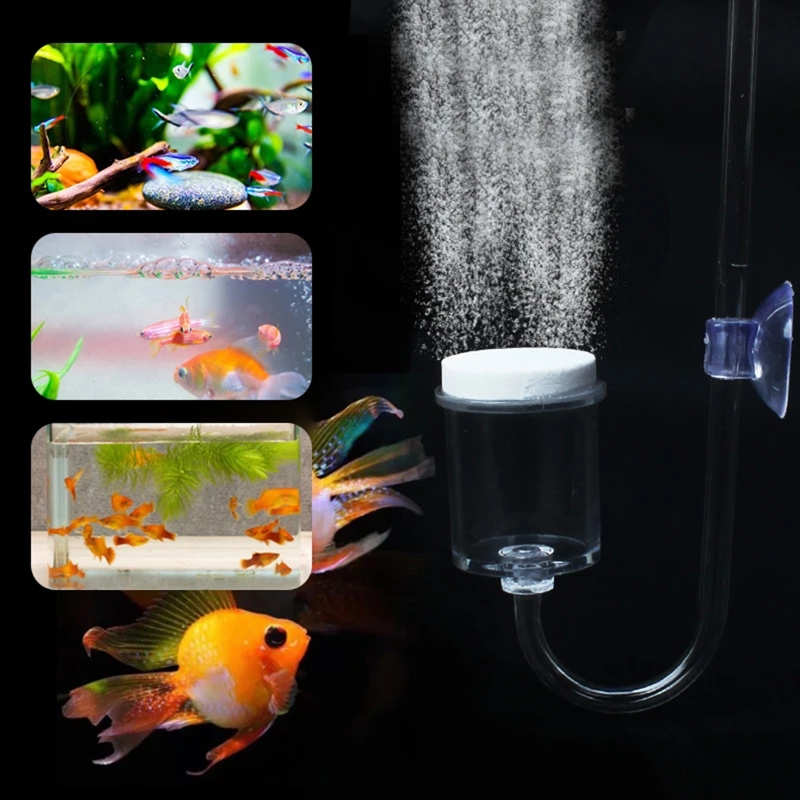 수족관 유리 탱크용 DIY CO2 디퓨저, 버블 반응기 - Marine Aquarium Live 리뷰 및 가격