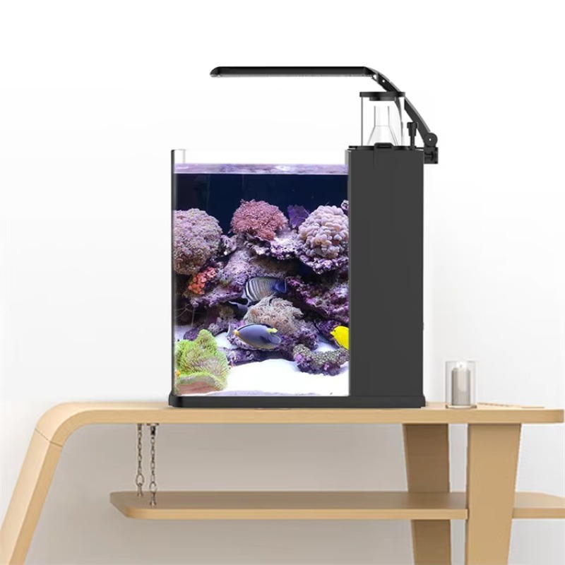 테이블형 곡선형 해수어 수족관, 거실, 침실, 사무실용 - Marine Aquarium Live 리뷰 및 가격