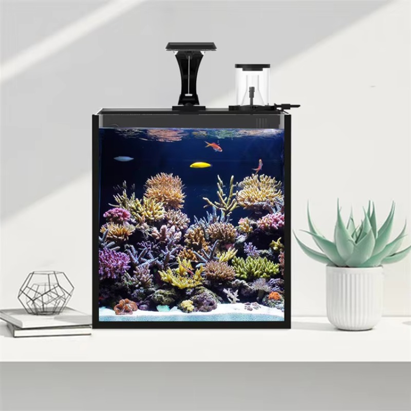 테이블형 곡선형 해수어 수족관, 거실, 침실, 사무실용 - Marine Aquarium Live 리뷰 및 가격