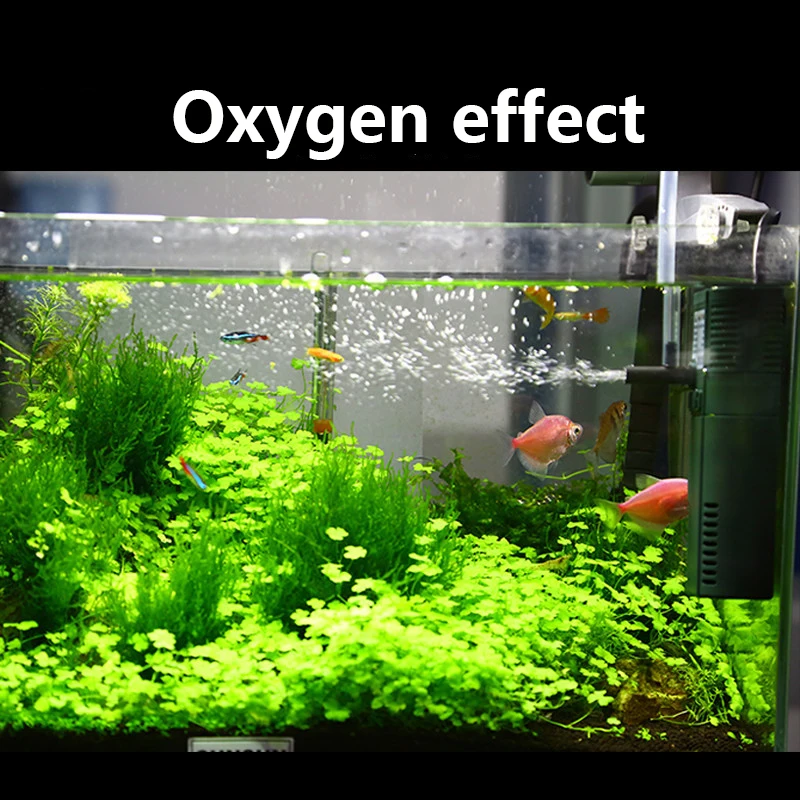SUNSUN 미니 나노 수중 산소 펌프, 물고기 거북이 - Marine Aquarium Protein Skimmer 리뷰 및 가격